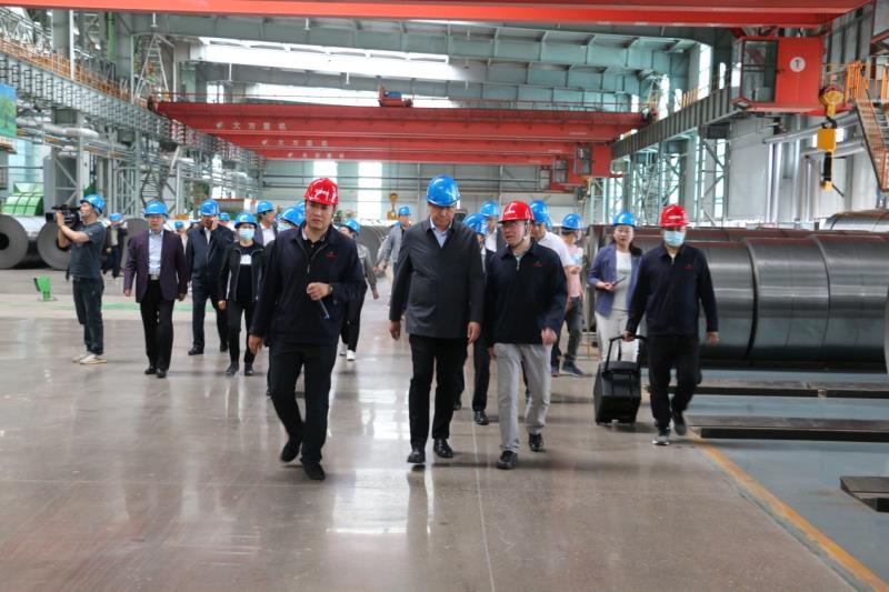 国产偷人妻精品一区二区在线